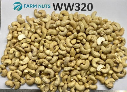 Cashew kernel WW320