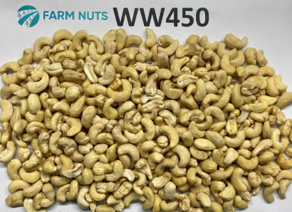 Cashew kernel WW450