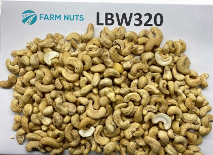 Cashew kernel LBW320